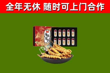 宣化烟酒回收冬虫夏草礼盒.jpg